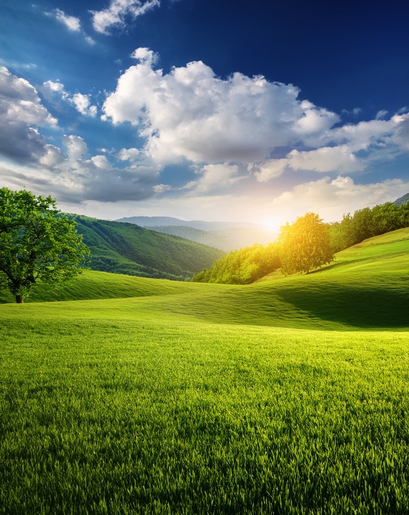 Environmental Commitment