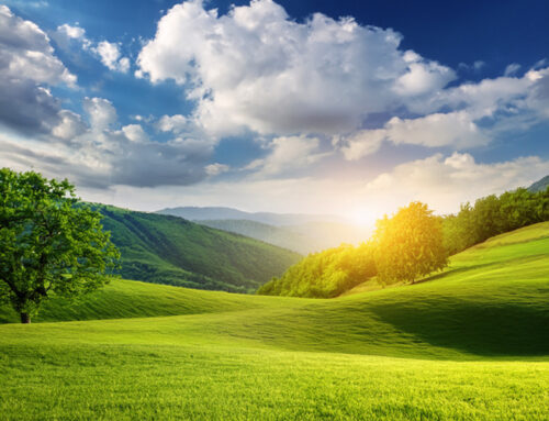 Environmental Policy Update