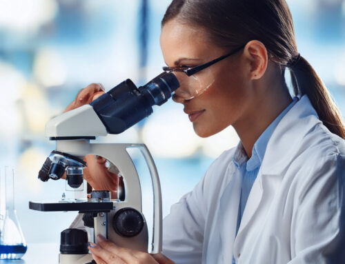 New Product Development